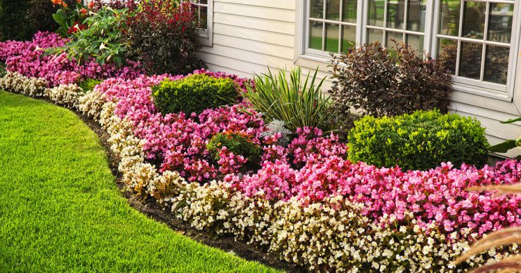 Garden Care Tips for Fall In Northern VA