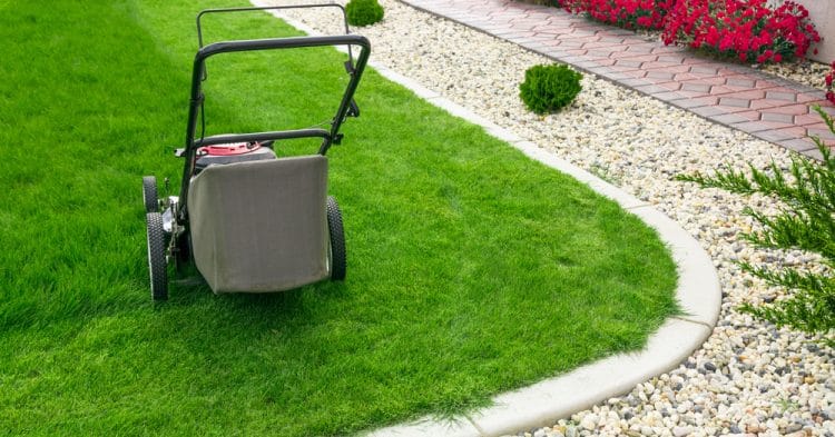 Lawn Care Trends For 2019