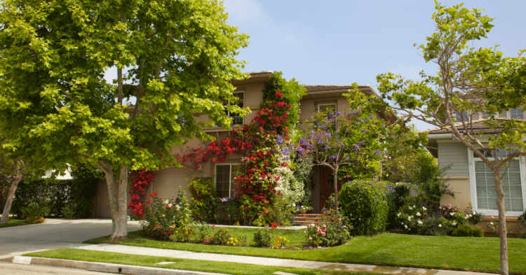 Why Landscaping is Essential