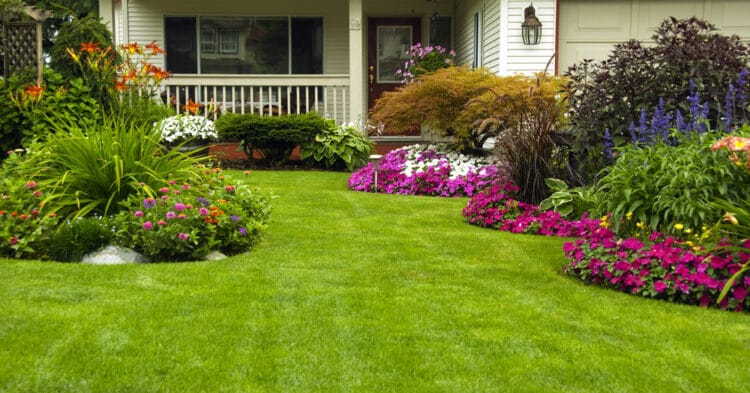 Five steps to getting a well-manicured yard￼