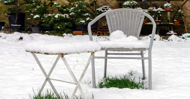 <strong>How to Prepare your Yard for Winter</strong>