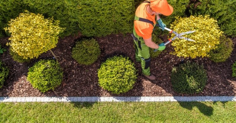 Why Professional Landscaping Is More Affordable Than You Think