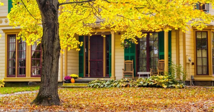 Preparing Your Lawn and Landscape for Fall Season