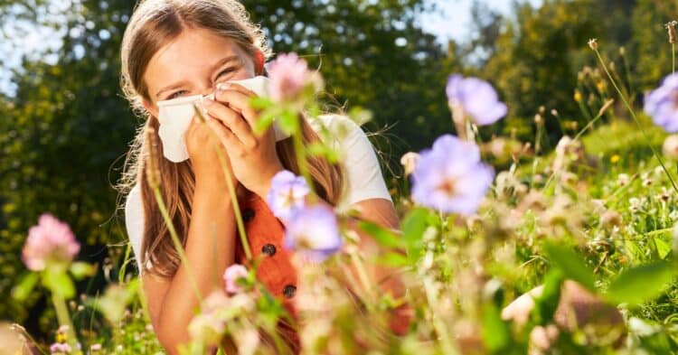 Understanding Lawn Allergies: Causes, Effects, and Solutions